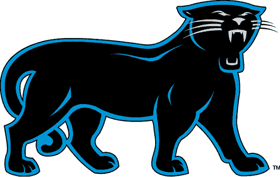 Carolina Panthers 1995-2011 Alternate Logo t shirt iron on transfers